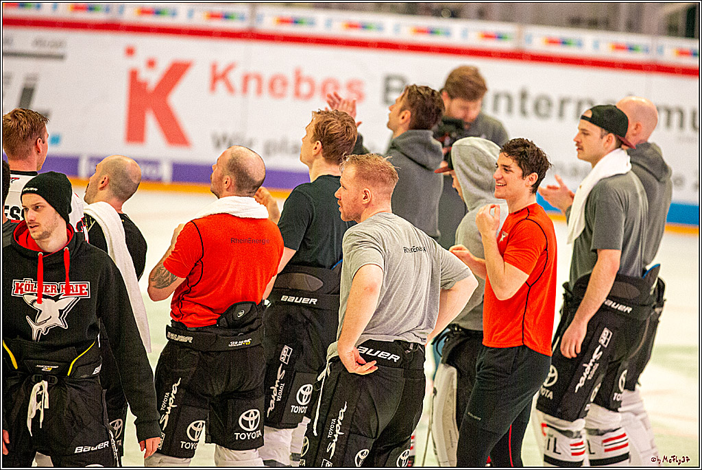 DEL; Duesseldorfer EG - Koelner Haie; Duesseldorf, 29.11.2019